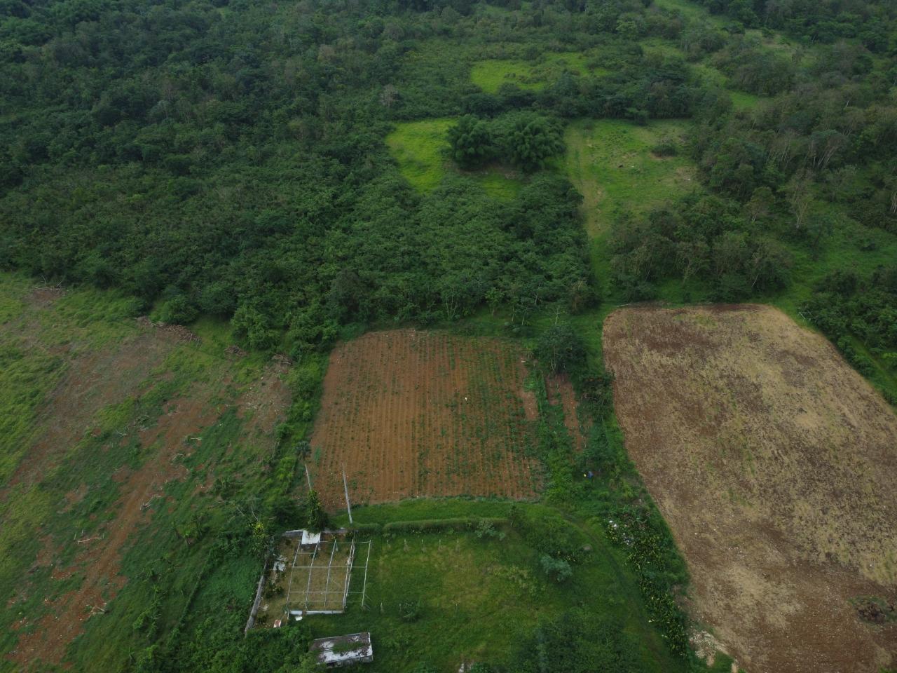 Stunning-2734-Acre-Development-Land-for-Sale-in-Jamaica Eighth image of Spring Vale in Maroon Town, St. James, Jamaica - property is For Sale