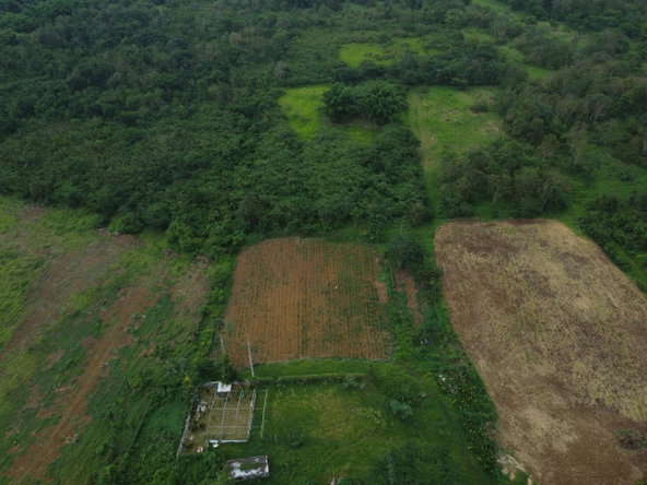 Eighth image of Spring Vale in Maroon Town, St. James, Jamaica - property is For Sale