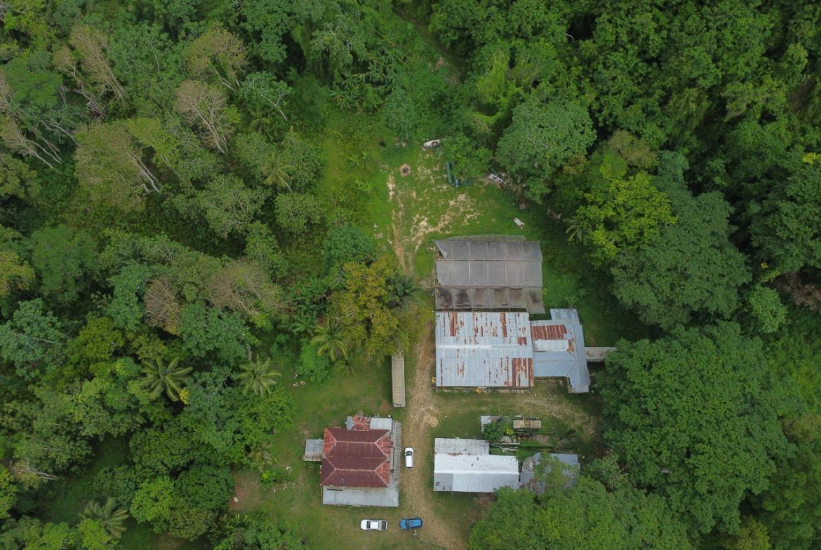 Ninth image of Spring Vale in Maroon Town, St. James, Jamaica - property is For Sale