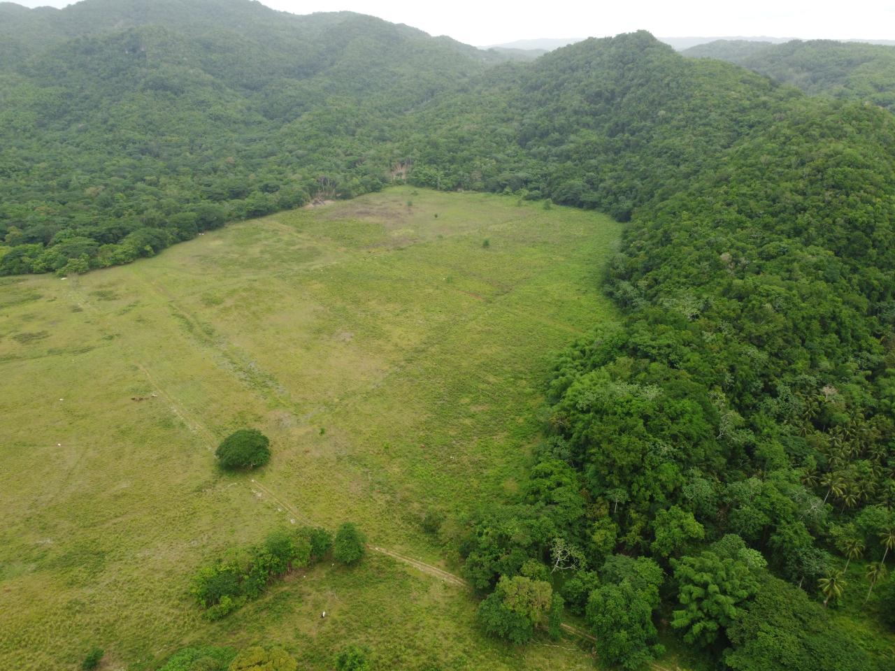 Stunning-2734-Acre-Development-Land-for-Sale-in-Jamaica First image of Spring Vale in Maroon Town, St. James, Jamaica - property is For Sale