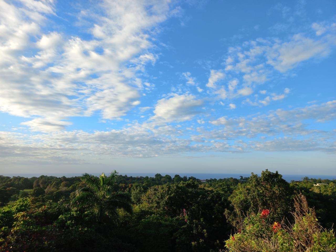 Twentieth image of 2w- Upton in Ocho Rios, St. Ann, Jamaica - property is For Rent