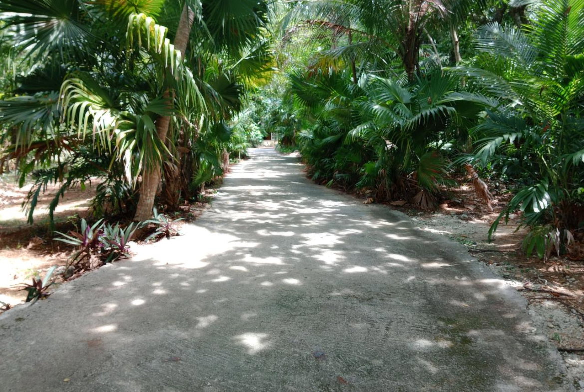 Fifteenth image of w- Tranquilitycove,towerisle in Tower Isle, St. Mary, Jamaica - property is For Sale
