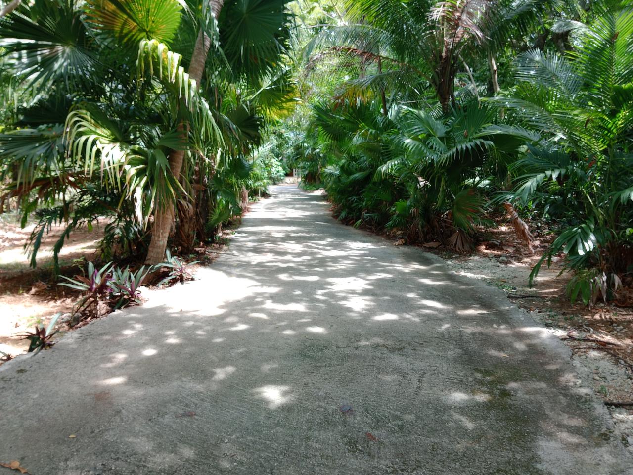 Fifteenth image of w- Tranquilitycove,towerisle in Tower Isle, St. Mary, Jamaica - property is For Sale