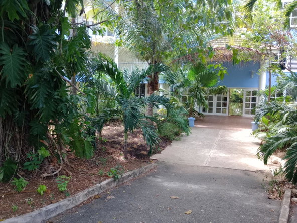 Eighteenth image of w- Tranquilitycove,towerisle in Tower Isle, St. Mary, Jamaica - property is For Sale