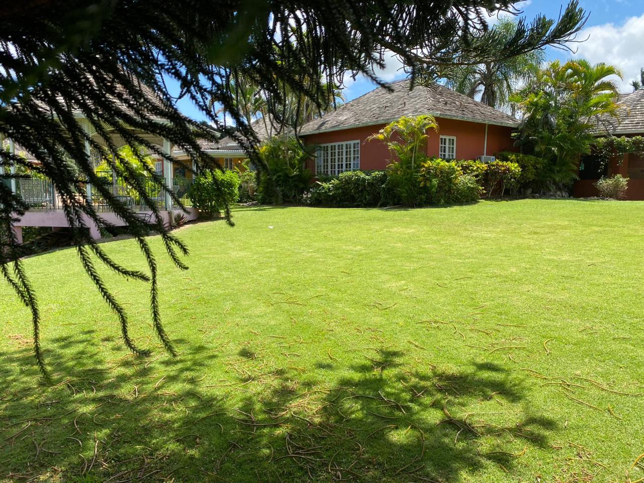 Stunning-3-Acre-Residential-Gem-in-St.-Ann-Jamaica-For-Sale Twelfth image of Lot# 1,2 Upton, St.ann in Ocho Rios, St. Ann, Jamaica - property is For Sale