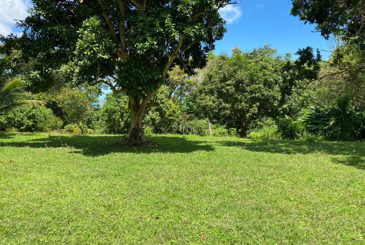 Third image of Lot# 1,2 Upton, St.ann in Ocho Rios, St. Ann, Jamaica - property is For Sale