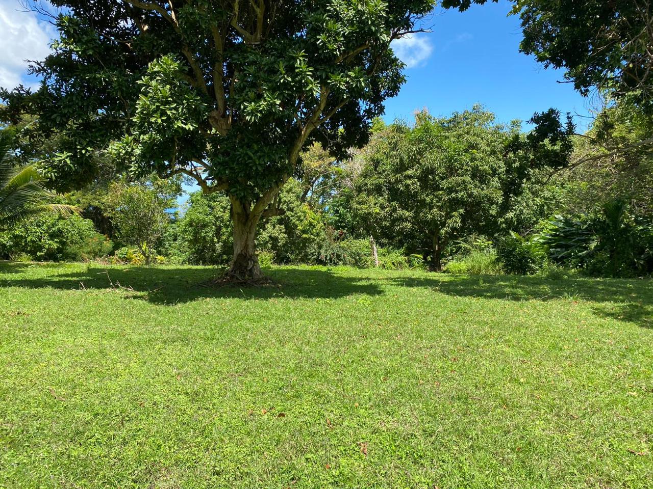 Stunning-3-Acre-Residential-Gem-in-St.-Ann-Jamaica-For-Sale Third image of Lot# 1,2 Upton, St.ann in Ocho Rios, St. Ann, Jamaica - property is For Sale