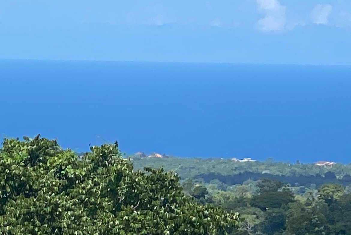Thirtieth image of Lot# 1,2 Upton, St.ann in Ocho Rios, St. Ann, Jamaica - property is For Sale