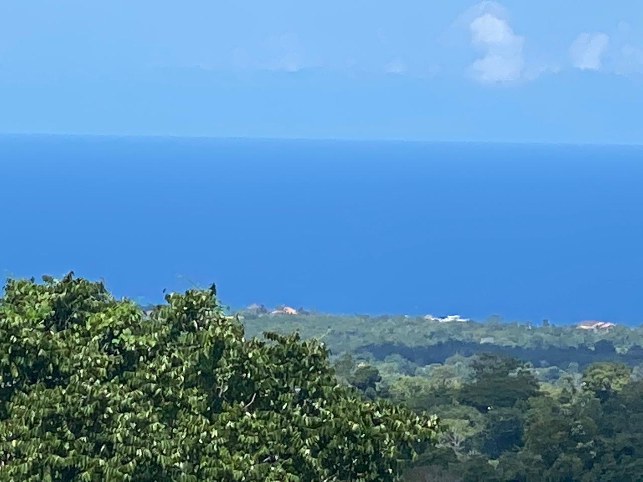 Stunning-3-Acre-Residential-Gem-in-St.-Ann-Jamaica-For-Sale Thirtieth image of Lot# 1,2 Upton, St.ann in Ocho Rios, St. Ann, Jamaica - property is For Sale