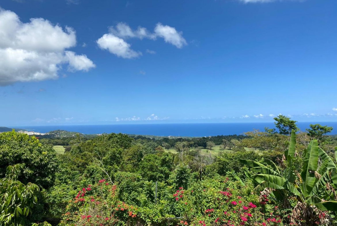 Ninth image of Lot# 1,2 Upton, St.ann in Ocho Rios, St. Ann, Jamaica - property is For Sale