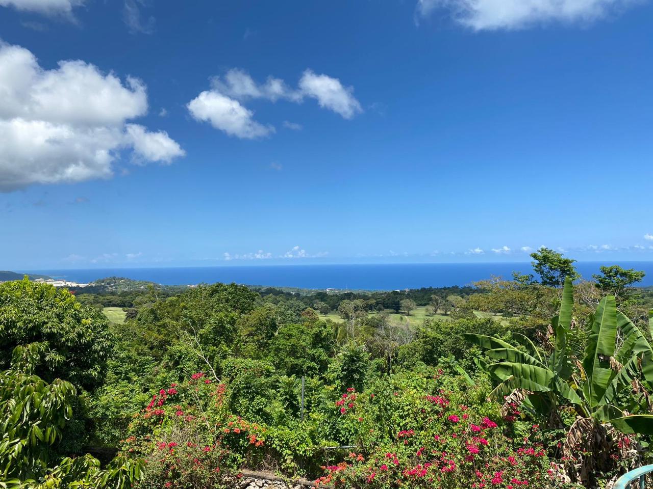 Stunning-3-Acre-Residential-Gem-in-St.-Ann-Jamaica-For-Sale Ninth image of Lot# 1,2 Upton, St.ann in Ocho Rios, St. Ann, Jamaica - property is For Sale