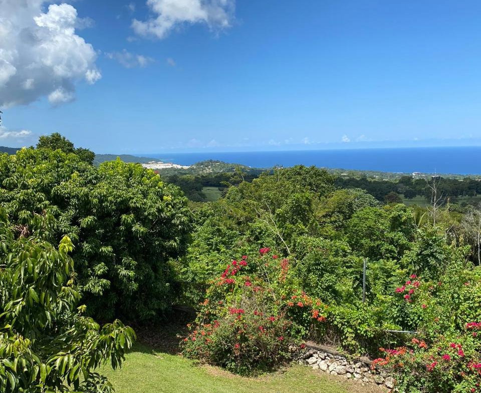 Tenth image of Lot# 1,2 Upton, St.ann in Ocho Rios, St. Ann, Jamaica - property is For Sale