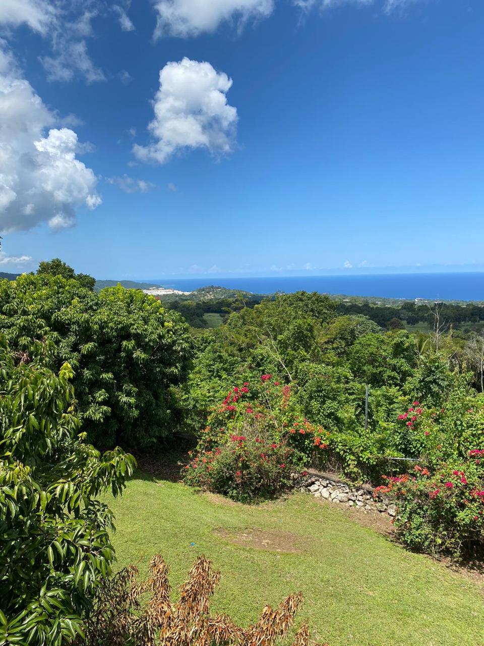 Stunning-3-Acre-Residential-Gem-in-St.-Ann-Jamaica-For-Sale Tenth image of Lot# 1,2 Upton, St.ann in Ocho Rios, St. Ann, Jamaica - property is For Sale
