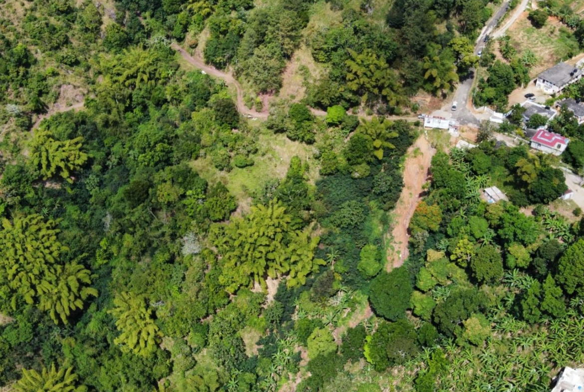 Second image of 119 Peter's Rock in Jacks Hill, St. Andrew, Jamaica - property is For Sale