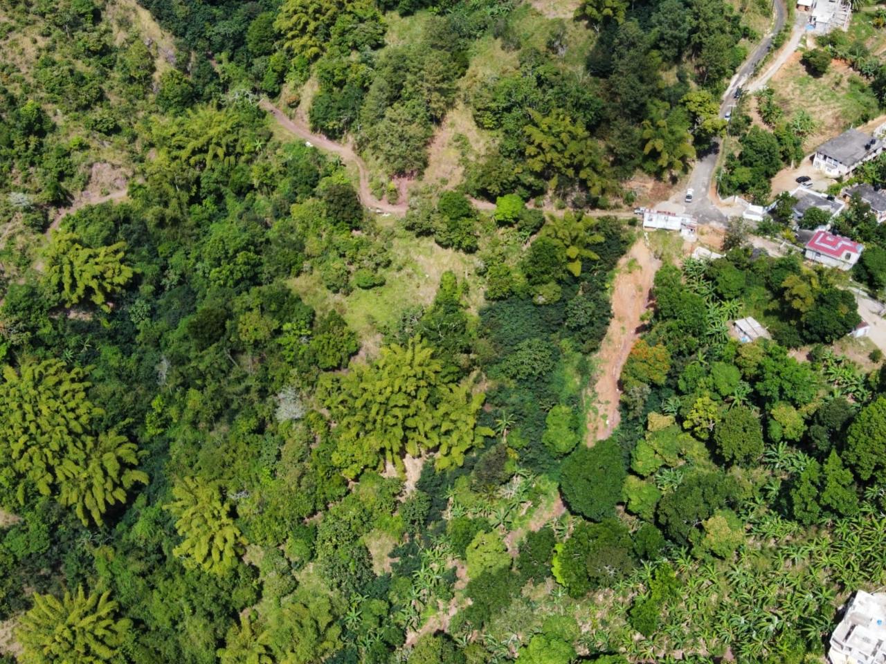 Second image of 119 Peter's Rock in Jacks Hill, St. Andrew, Jamaica - property is For Sale