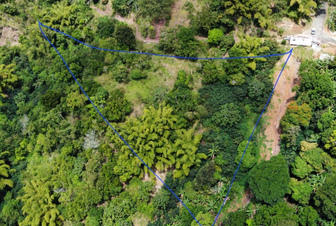 Third image of 119 Peter's Rock in Jacks Hill, St. Andrew, Jamaica - property is For Sale