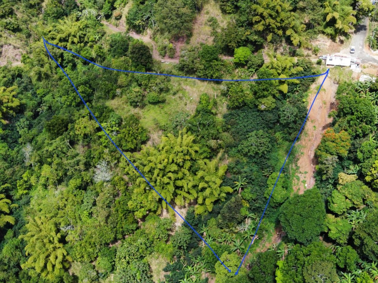 Third image of 119 Peter's Rock in Jacks Hill, St. Andrew, Jamaica - property is For Sale