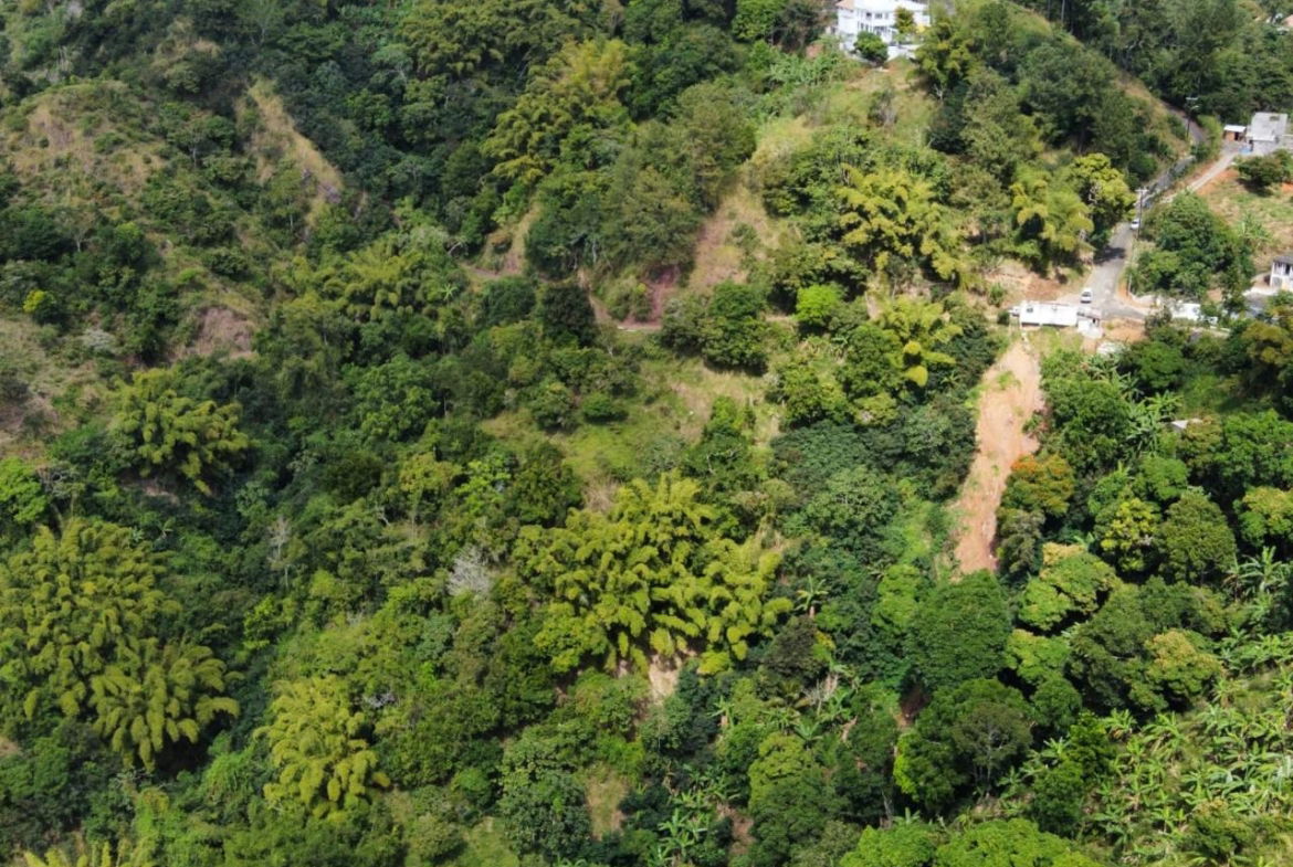 Fifth image of 119 Peter's Rock in Jacks Hill, St. Andrew, Jamaica - property is For Sale