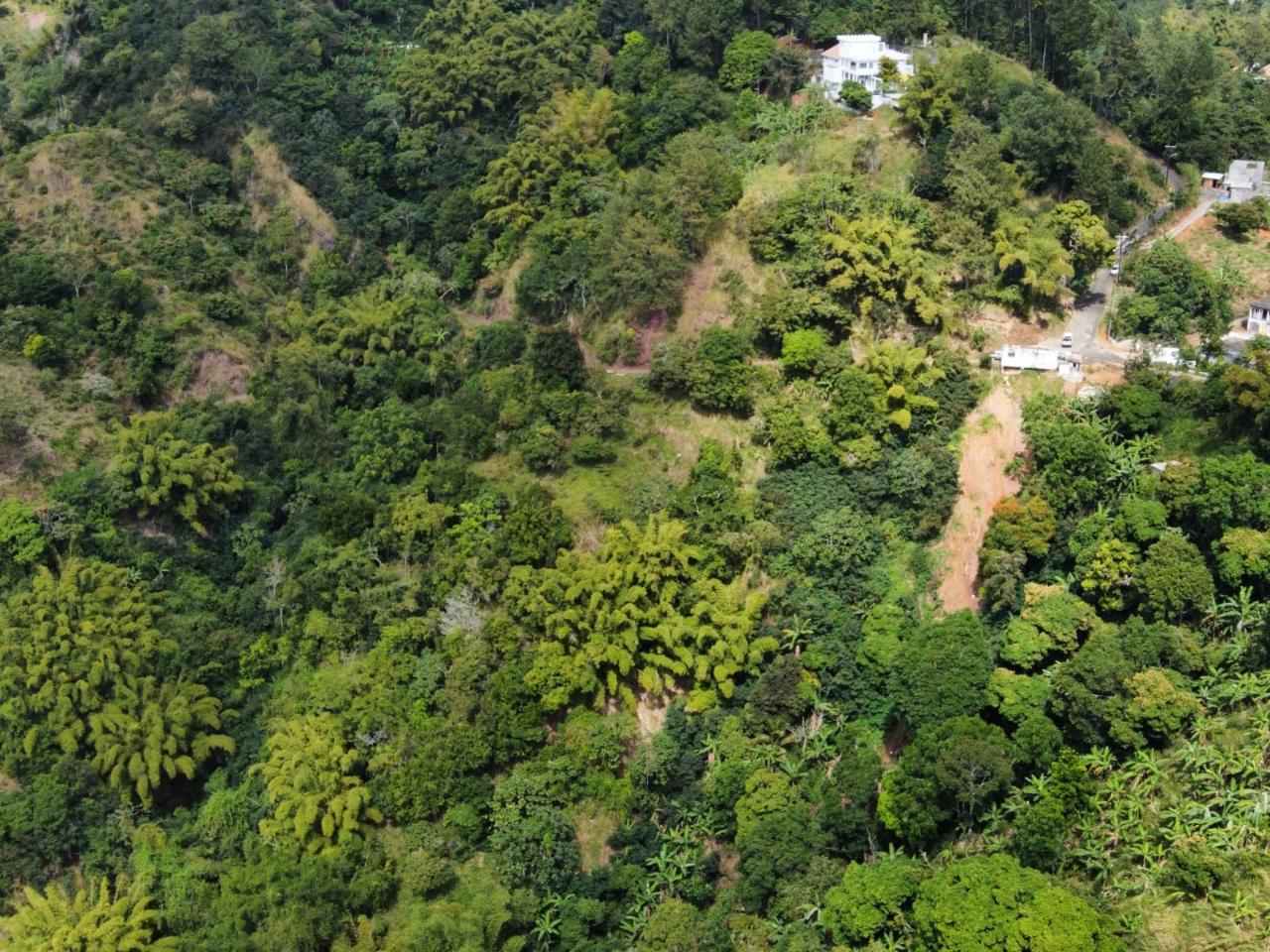 Fifth image of 119 Peter's Rock in Jacks Hill, St. Andrew, Jamaica - property is For Sale