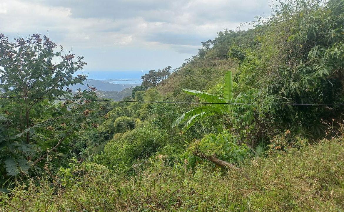 Sixth image of 119 Peter's Rock in Jacks Hill, St. Andrew, Jamaica - property is For Sale