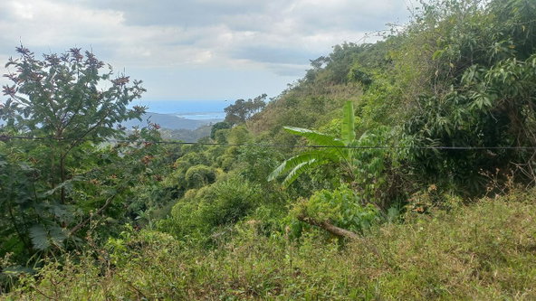 Sixth image of 119 Peter's Rock in Jacks Hill, St. Andrew, Jamaica - property is For Sale