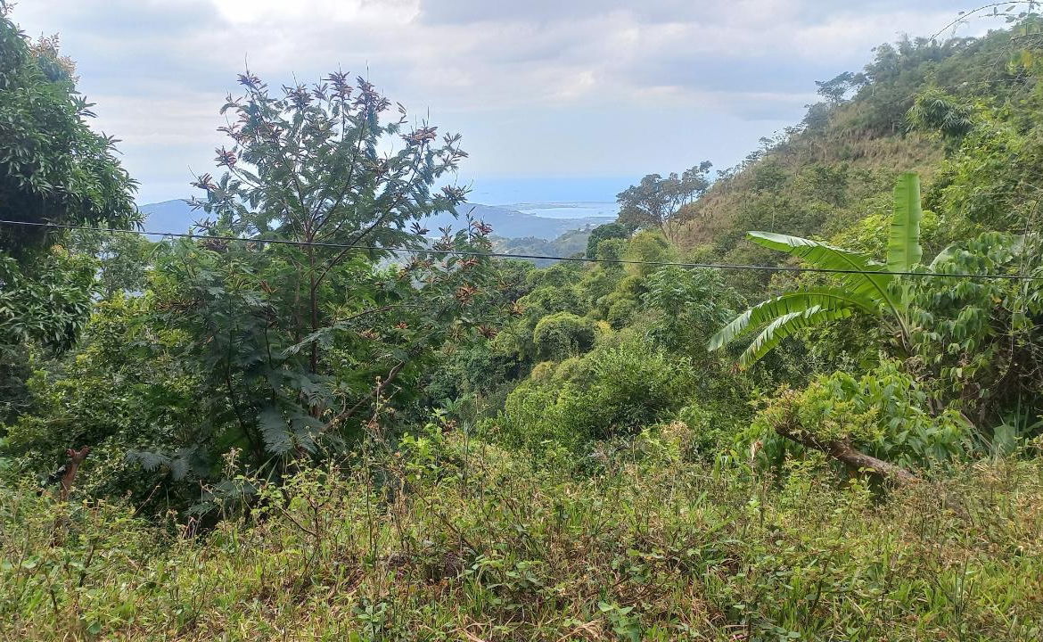 Seventh image of 119 Peter's Rock in Jacks Hill, St. Andrew, Jamaica - property is For Sale