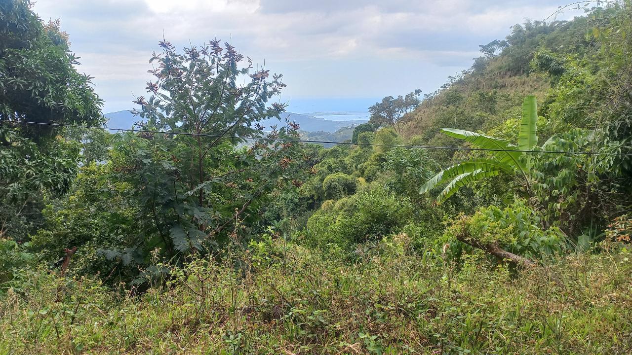 Seventh image of 119 Peter's Rock in Jacks Hill, St. Andrew, Jamaica - property is For Sale