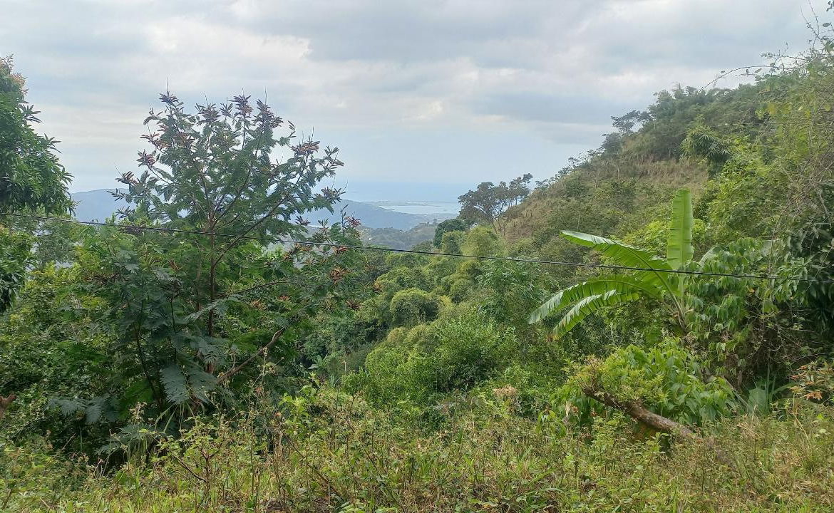 Eighth image of 119 Peter's Rock in Jacks Hill, St. Andrew, Jamaica - property is For Sale