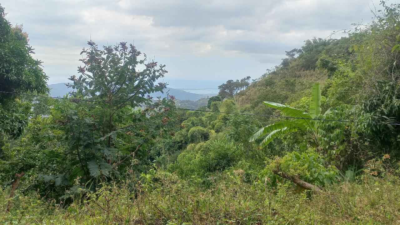 Eighth image of 119 Peter's Rock in Jacks Hill, St. Andrew, Jamaica - property is For Sale