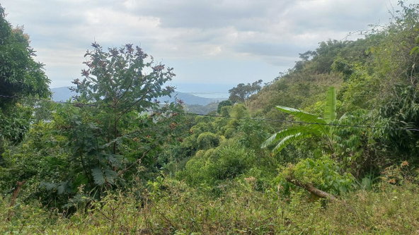 Eighth image of 119 Peter's Rock in Jacks Hill, St. Andrew, Jamaica - property is For Sale