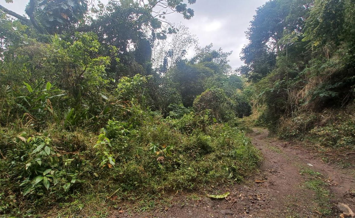 Ninth image of 119 Peter's Rock in Jacks Hill, St. Andrew, Jamaica - property is For Sale