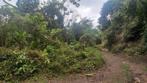 Ninth image of 119 Peter's Rock in Jacks Hill, St. Andrew, Jamaica - property is For Sale