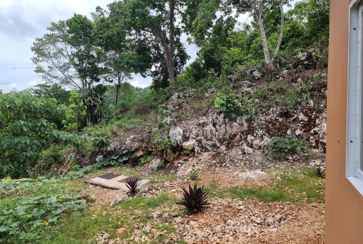 Twelfth image of Lot 12 Friendship, Browns Town in Browns Town, St. Ann, Jamaica - property is For Sale