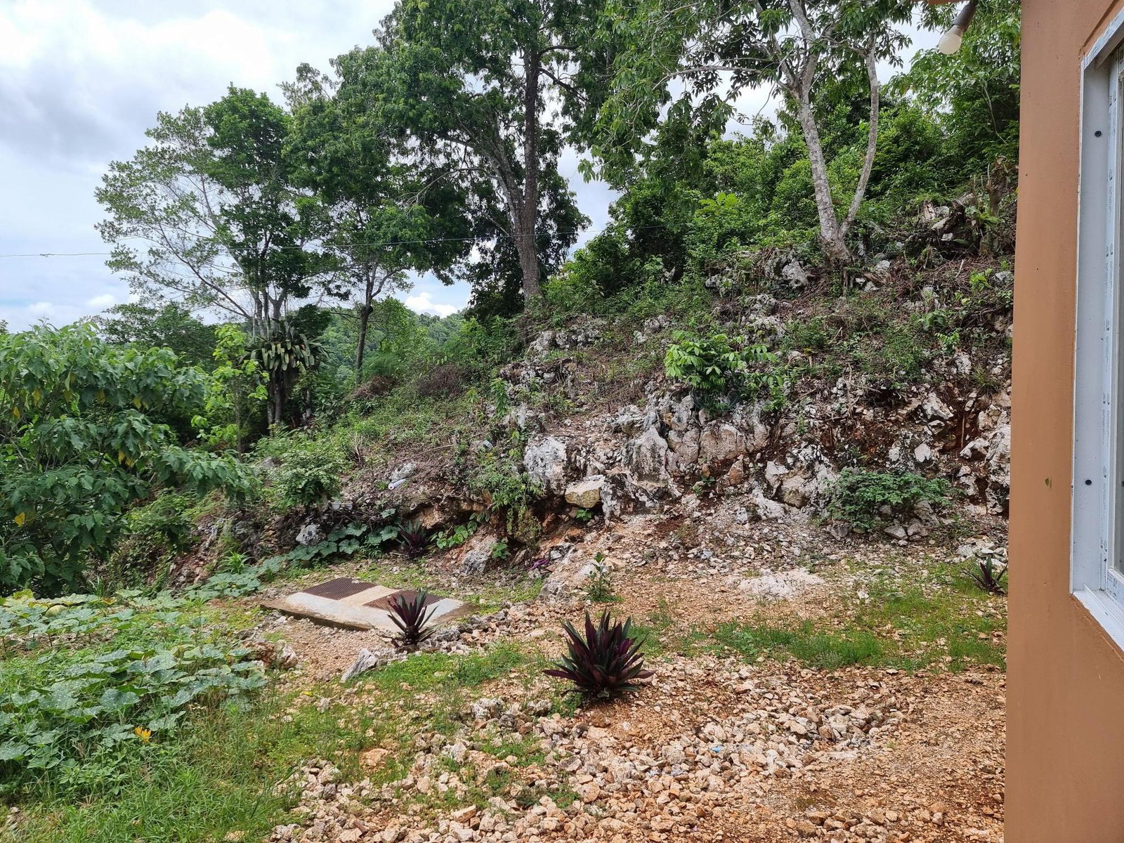Twelfth image of Lot 12 Friendship, Browns Town in Browns Town, St. Ann, Jamaica - property is For Sale
