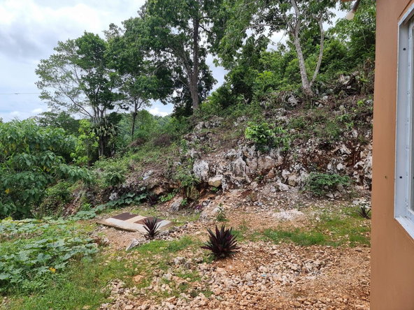 Twelfth image of Lot 12 Friendship, Browns Town in Browns Town, St. Ann, Jamaica - property is For Sale