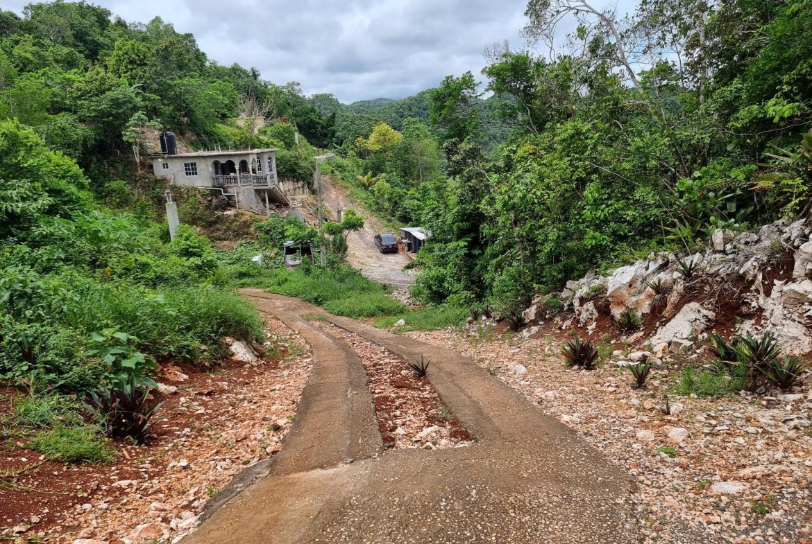 Thirteenth image of Lot 12 Friendship, Browns Town in Browns Town, St. Ann, Jamaica - property is For Sale