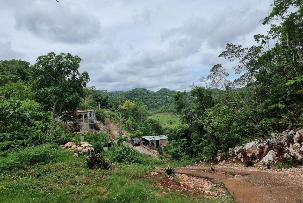 Fourteenth image of Lot 12 Friendship, Browns Town in Browns Town, St. Ann, Jamaica - property is For Sale