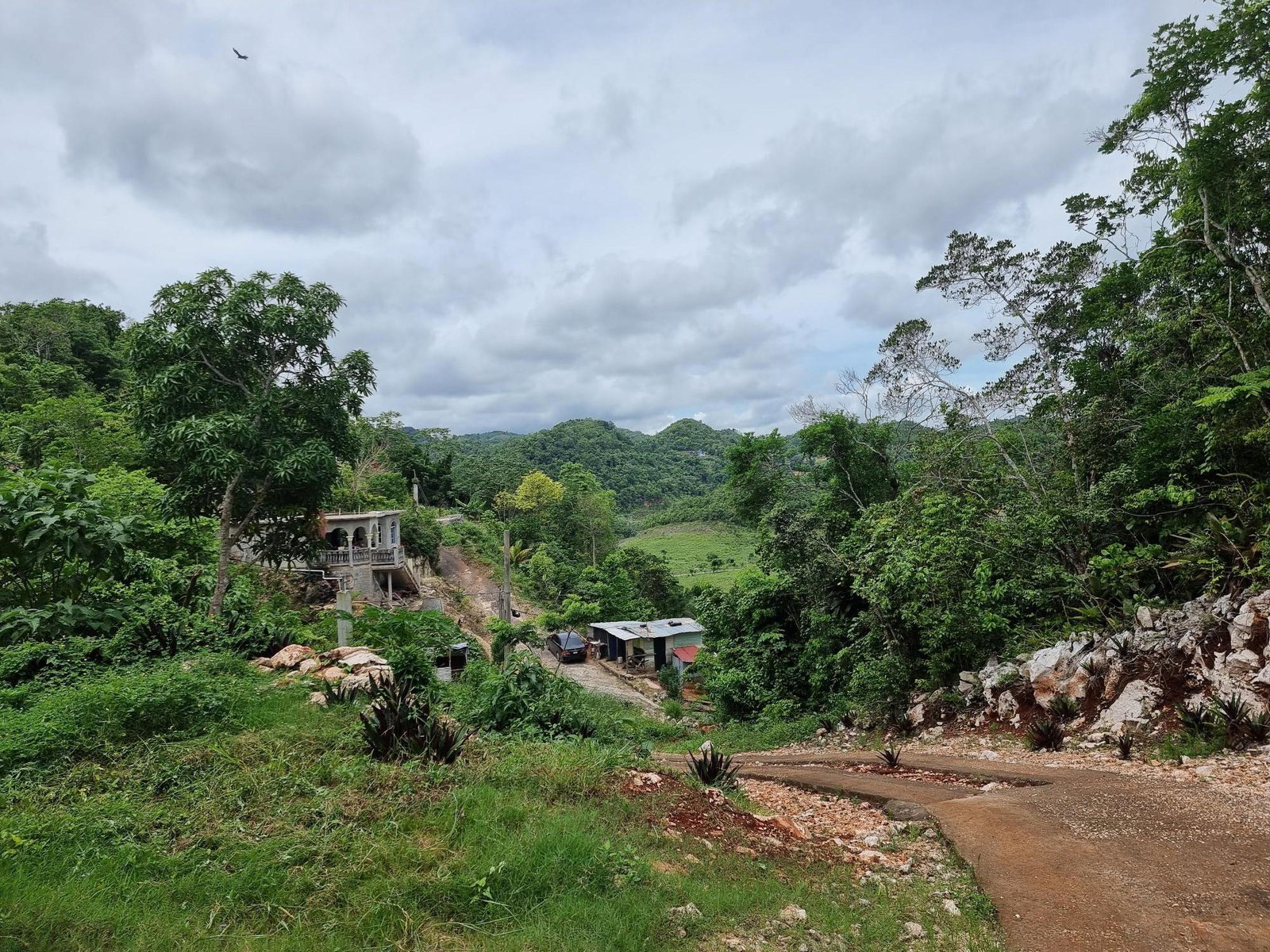 Fourteenth image of Lot 12 Friendship, Browns Town in Browns Town, St. Ann, Jamaica - property is For Sale