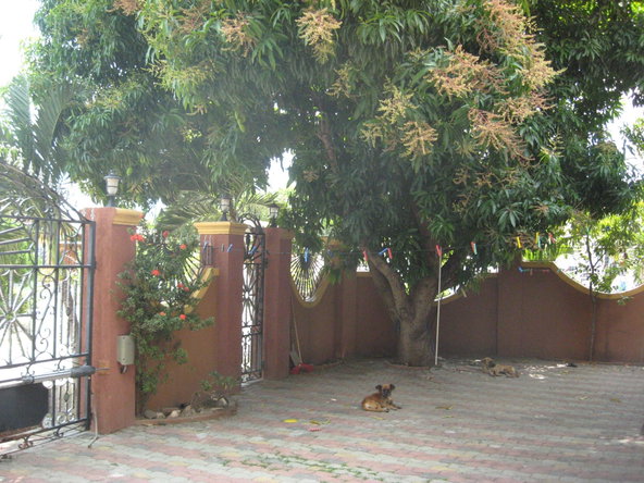 Sixth image of 438 Travellers Terrace in MAGIL PALMS, St. Catherine, Jamaica - property is For Sale