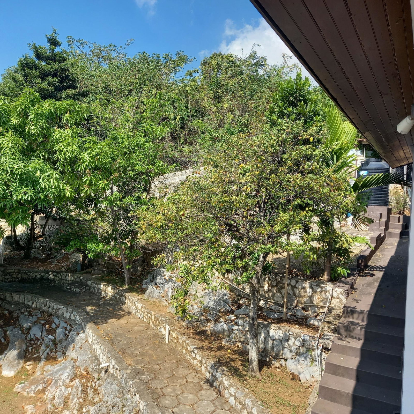 Twenty-Sixth image of 20 Brentwood Terrace, in Red Hills, St. Andrew, Jamaica - property is For Rent