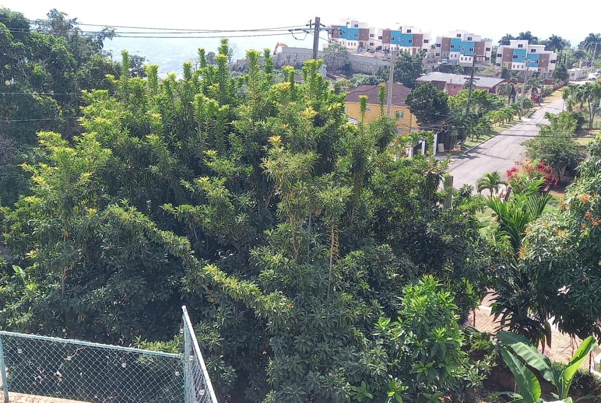 Twenty-Seventh image of 20 Brentwood Terrace, in Red Hills, St. Andrew, Jamaica - property is For Rent