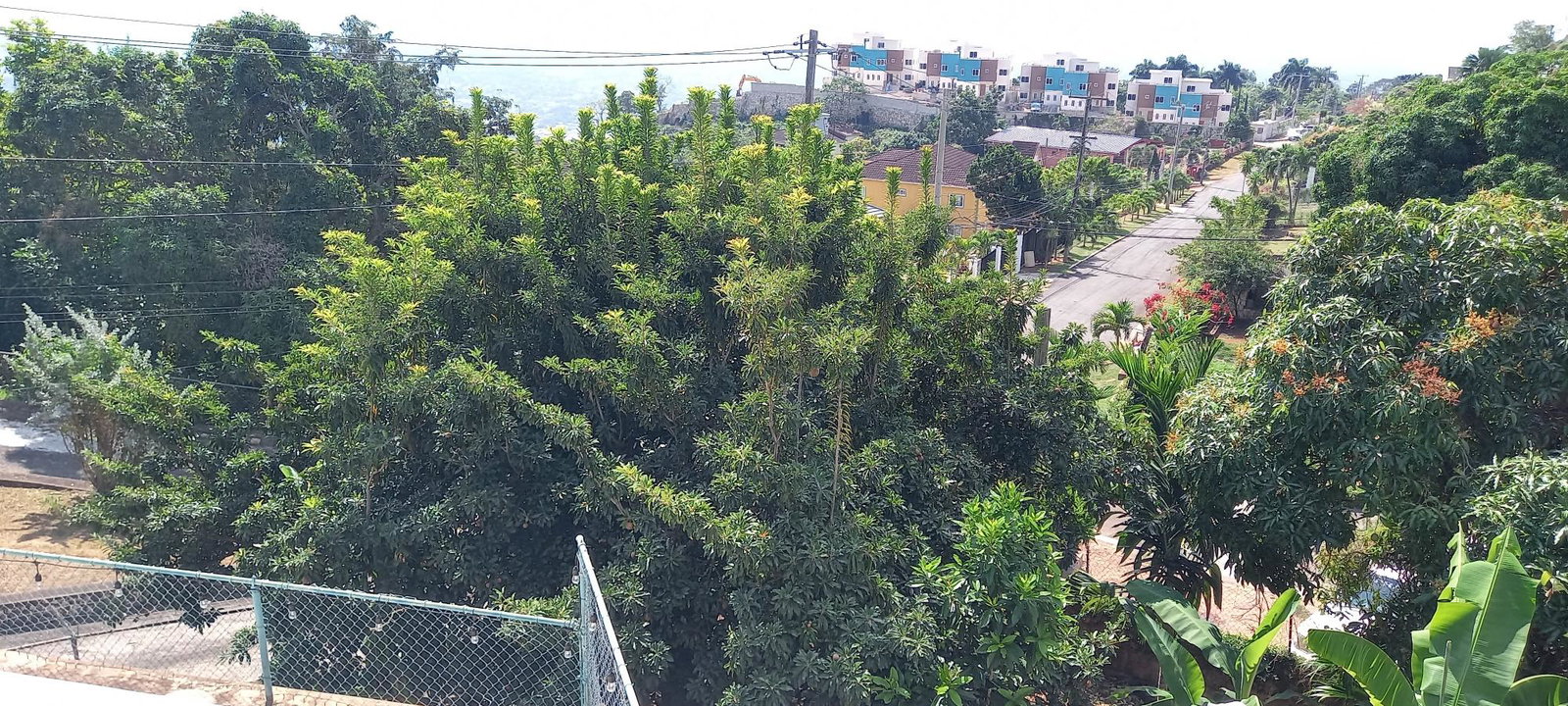 Twenty-Seventh image of 20 Brentwood Terrace, in Red Hills, St. Andrew, Jamaica - property is For Rent