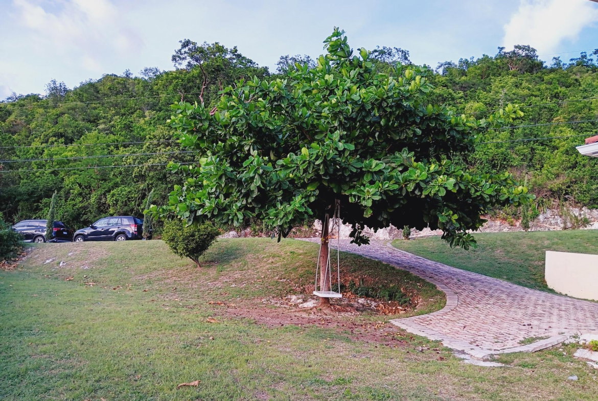 Nineteenth image of 23 Black Birch Way in Kingston 6, St. Andrew, Jamaica - property is For Rent