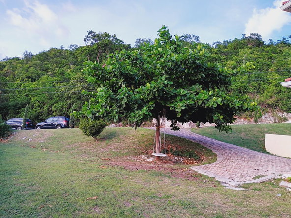 Nineteenth image of 23 Black Birch Way in Kingston 6, St. Andrew, Jamaica - property is For Rent