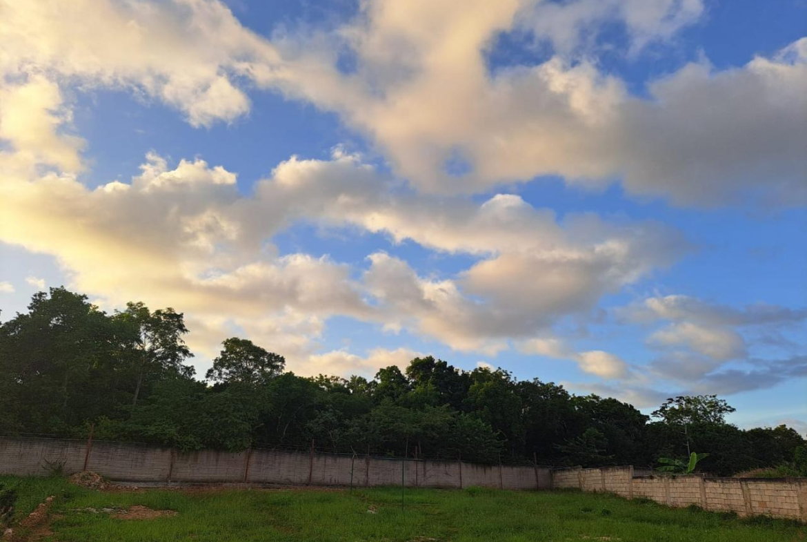 Fourteenth image of 350 Coral Spring Village in Falmouth, Trelawny, Jamaica - property is For Sale