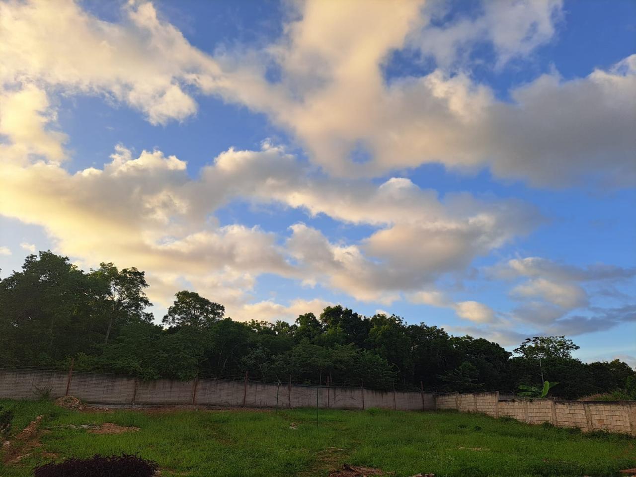 Fourteenth image of 350 Coral Spring Village in Falmouth, Trelawny, Jamaica - property is For Sale