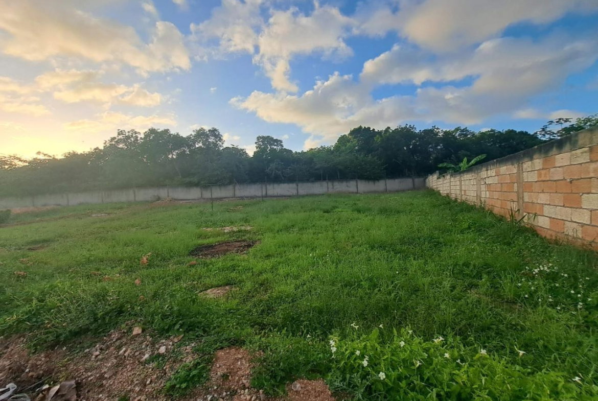 Fifteenth image of 350 Coral Spring Village in Falmouth, Trelawny, Jamaica - property is For Sale