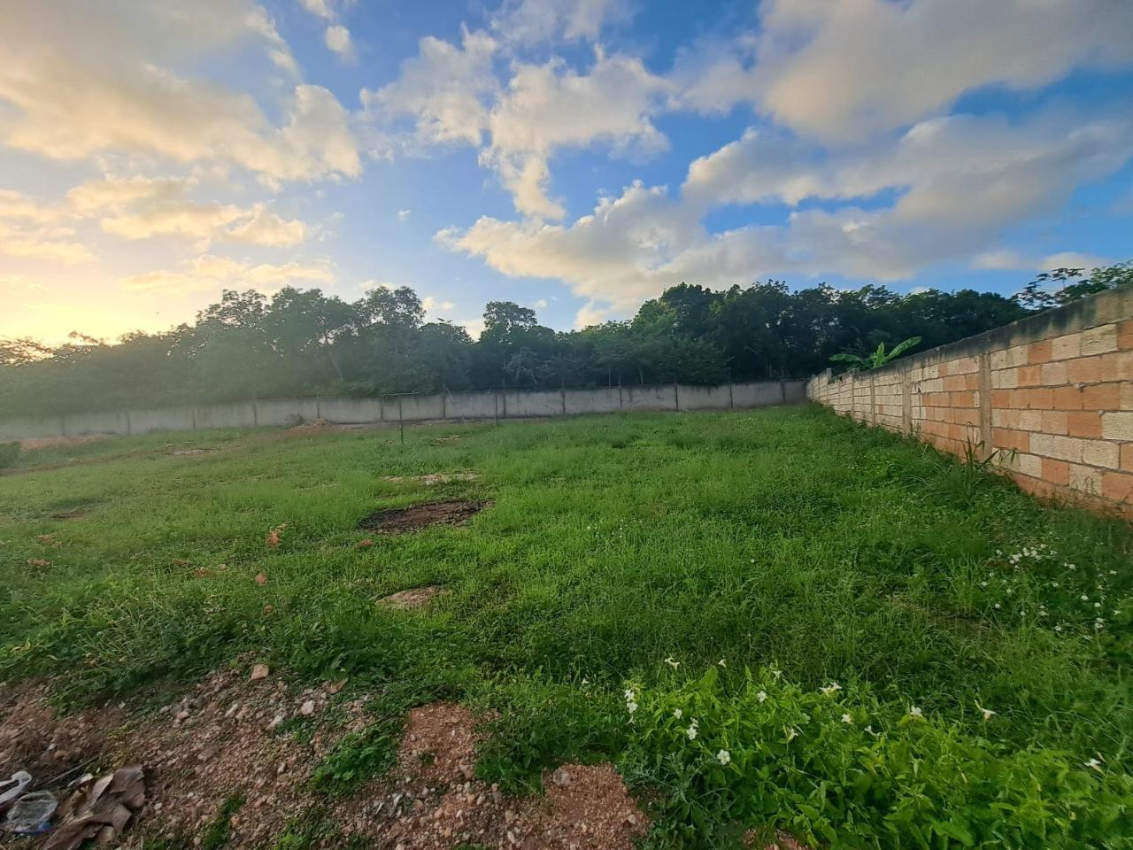 Fifteenth image of 350 Coral Spring Village in Falmouth, Trelawny, Jamaica - property is For Sale