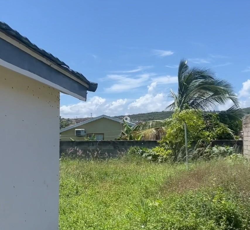 Eighth image of Lot 262 Coral Springs Village Pha in Falmouth, Trelawny, Jamaica - property is For Sale