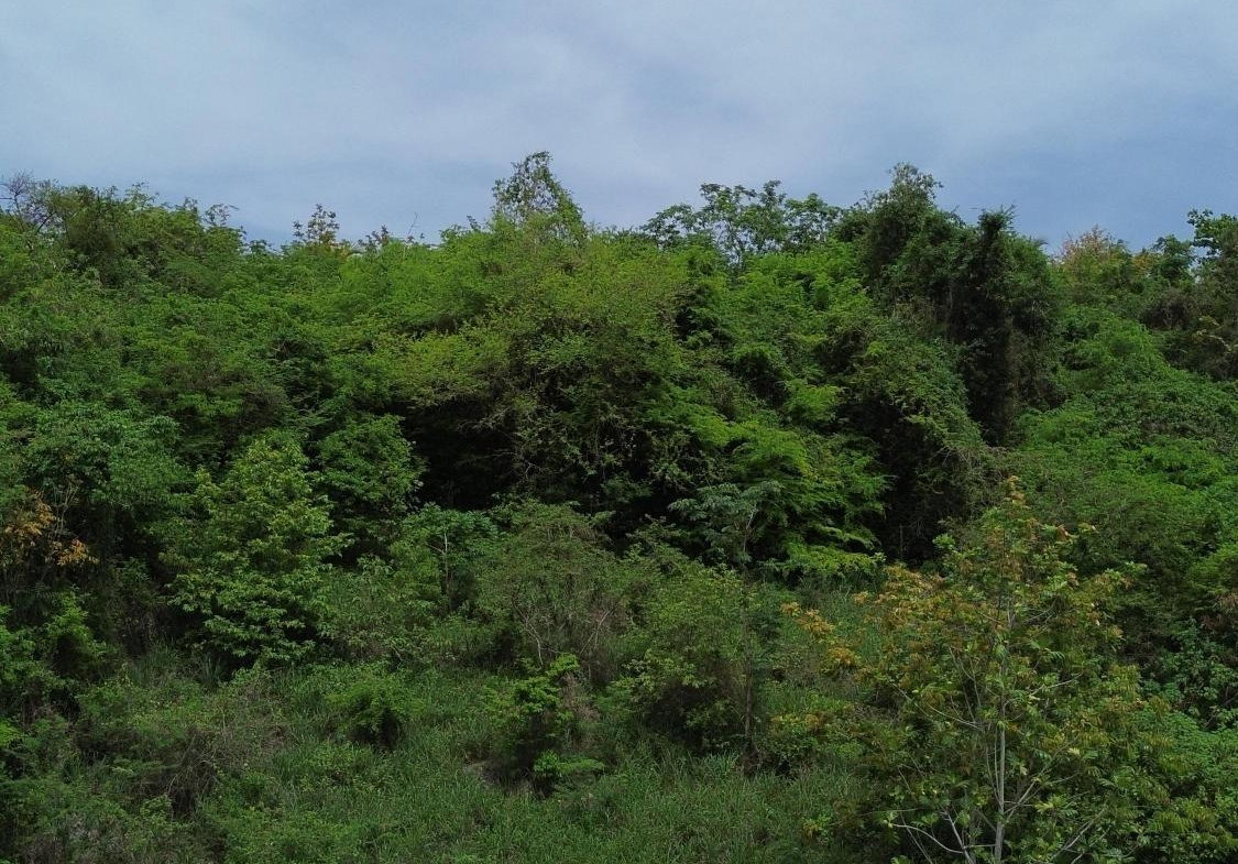 Third image of 90 Kimberly Avenue, Golden a in Kingston 19, St. Andrew, Jamaica - property is For Sale